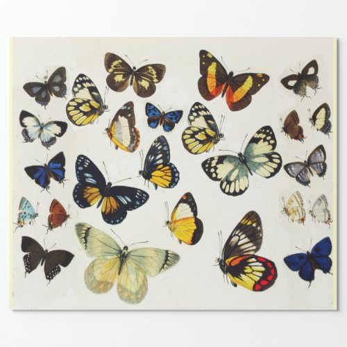 RED YELLOW BLUE WHITE BUTTERFLIES Beauty Nature Wrapping Paper