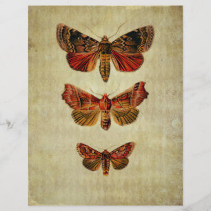 Red & Yellow Moths Scrapbook Ephemera