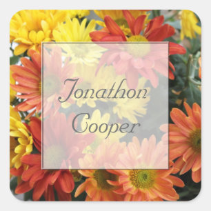 Red, yellow, orange colorful autumn daisy flowers. square sticker