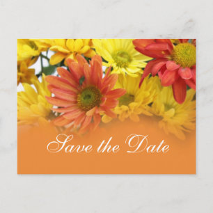 Red, yellow, orange daisy flower save the date announcement postcard