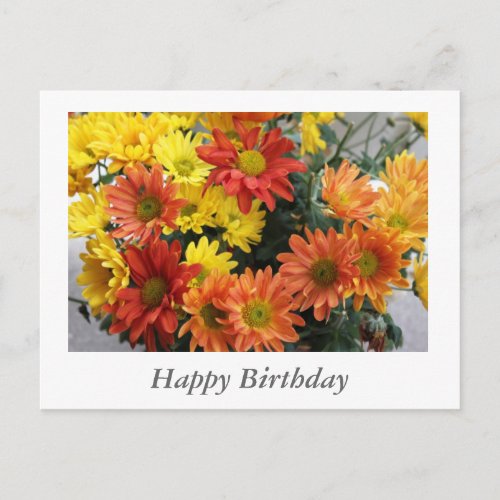 Red yellow orange daisy flowers happy bithday postcard