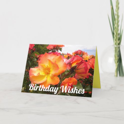 Red Yellow Orange Rose Roses Flowers Birthday Card