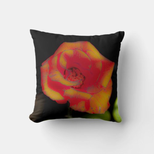 Red yellow rose blossom throw pillow