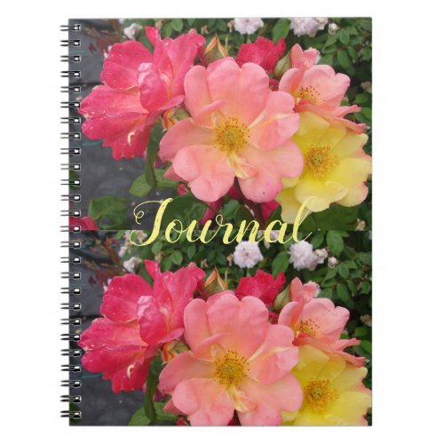 Red Yellow Rose Flower Floral Roses Journal