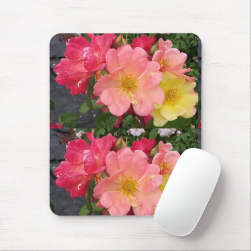 Red Yellow Rose Flower Floral Roses Mouse Pad