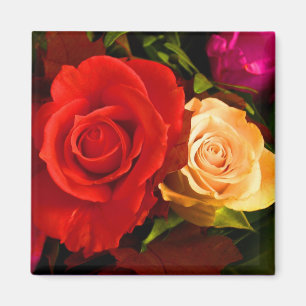 Red Yellow Rose Magnet - Customizable
