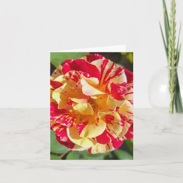 Red & Yellow Rose Personalized Greeting Card (Front)
