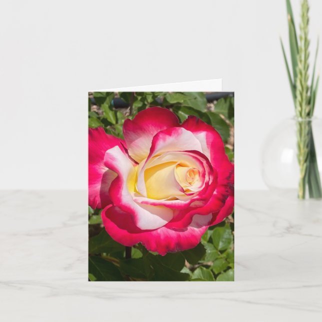 Red & Yellow Rose Personalized Greeting Card (Front)