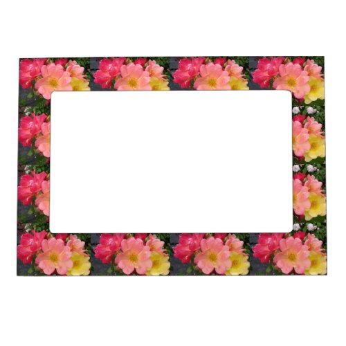 Red Yellow Roses Rose Flower Floral Magnetic Frame