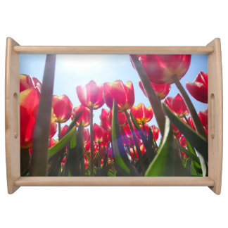 Red Yellow Tulips Close Up Serving Tray