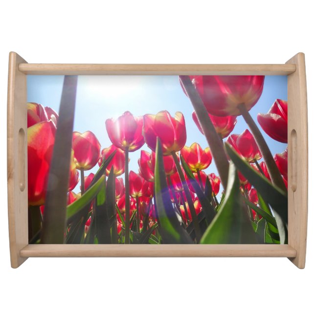 Red Yellow Tulips Close Up Serving Tray (Front)