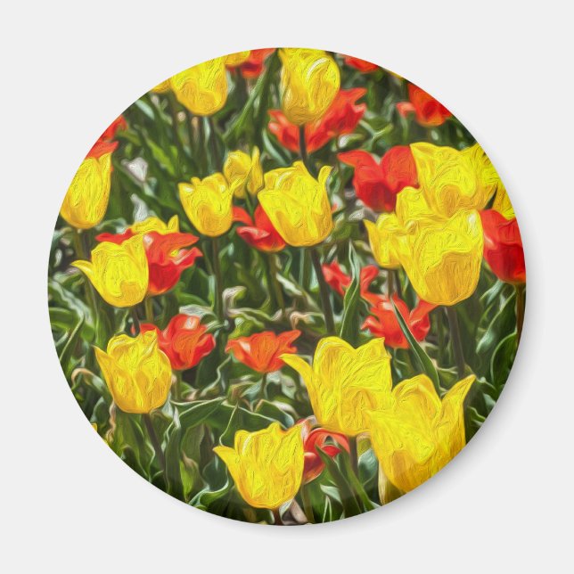 Red & Yellow Tulips Magnet (Front)