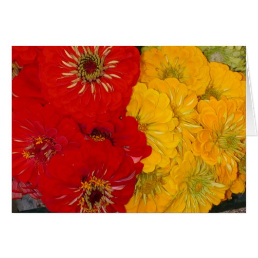 Red & Yellow Zinnias Cards (Front Horizontal)