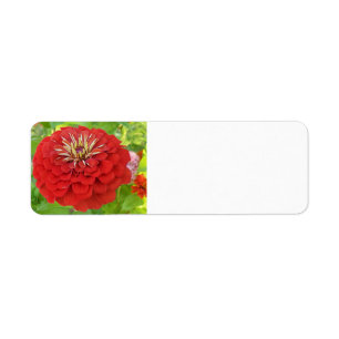 Red Zinnia address labels