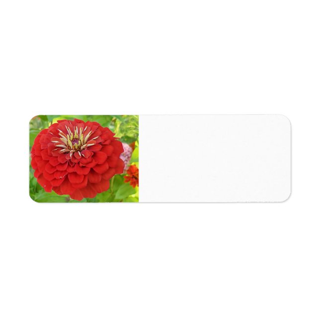 Red Zinnia address labels (Front)
