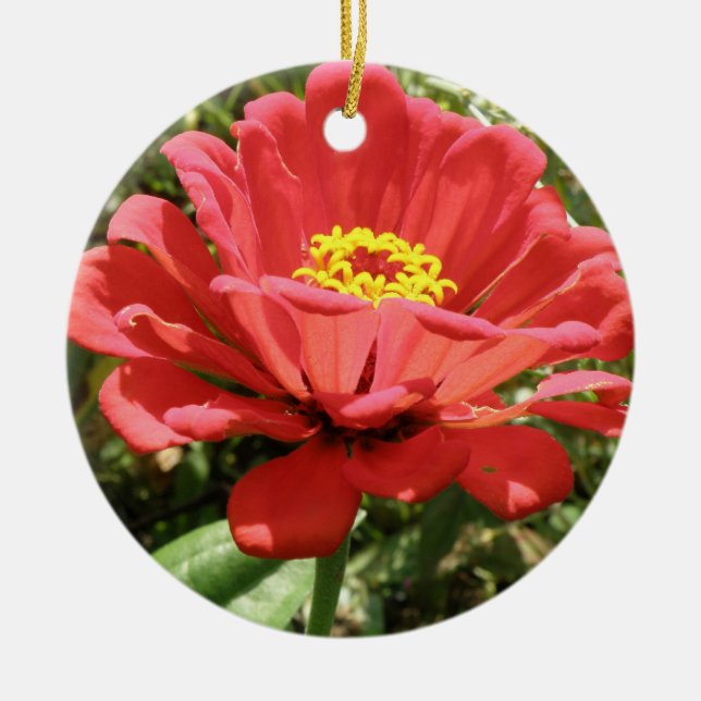 Red Zinnia Custom Birthday Ceramic Ornament (Front)