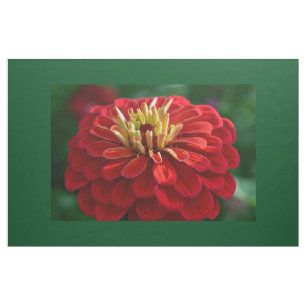 Red zinnia fabric