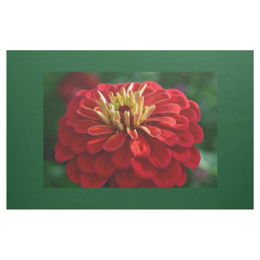 Red zinnia fabric