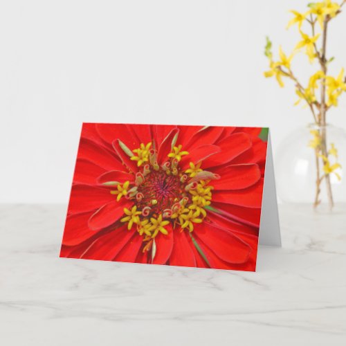 Red Zinnia Flower Close Up Art Note Card