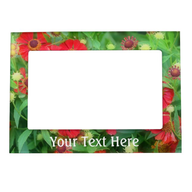 Red Zinnia Flowers Magnetic Frame (Front)