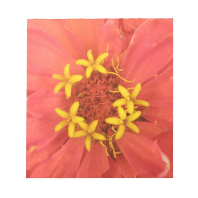 Red Zinnia Macro Notepad (Front)