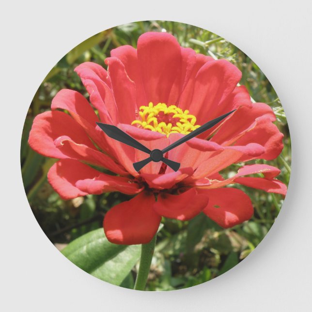 Red Zinnia Wall Clock (Front)