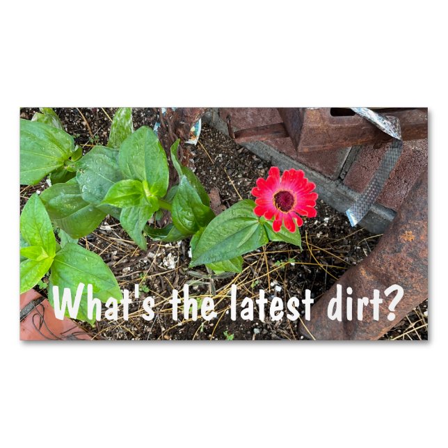 Red Zinnia with Rusty Objects Business Card (Front)