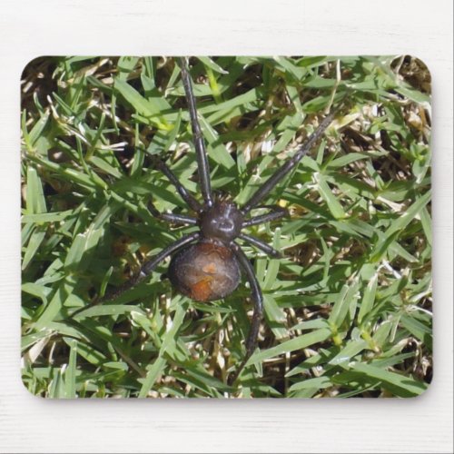 Redback Spider On Green Grass Mouse Pad