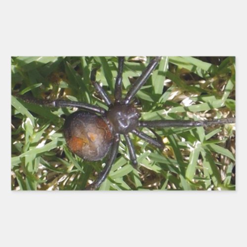 Redback Spider On Green Grass Rectangular Sticker
