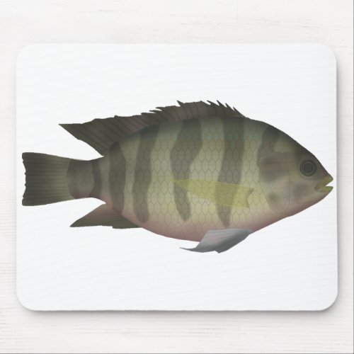 Redbelly Tilapia Mouse Pad