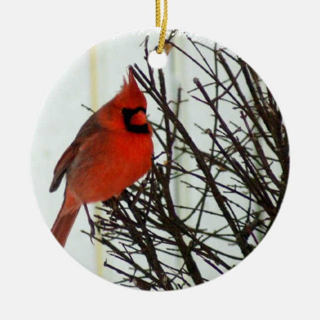 Redbird Ceramic Ornament (Front)