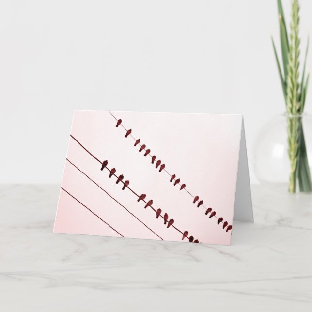 "Redbirds" on Wire Holiday Card (Front)