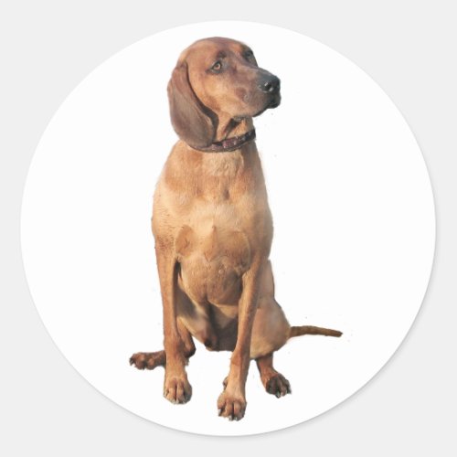 Redbone Coon Hound A Classic Round Sticker