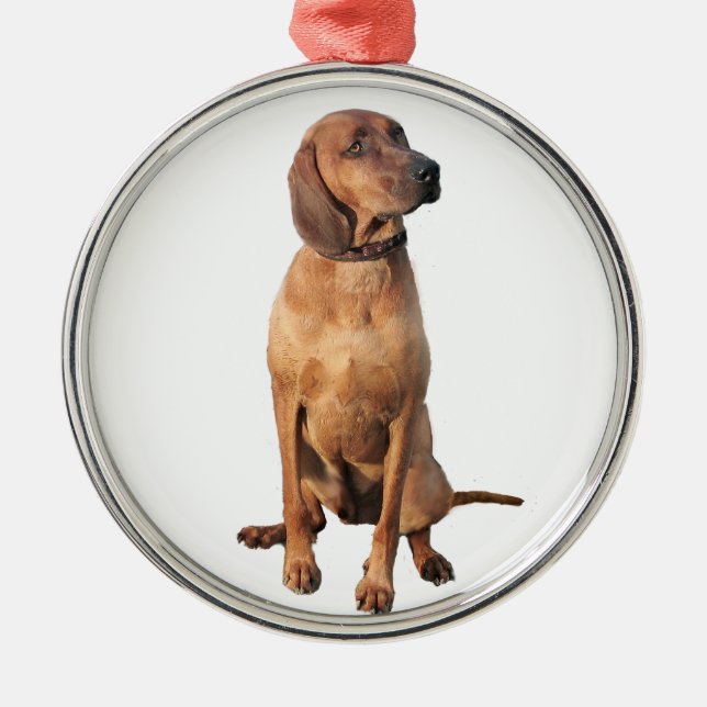 Redbone Coon Hound (A) Metal Ornament (Front)