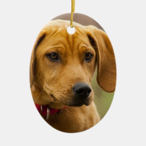 Redbone Coon Hound Dog Puppy Ceramic Ornament