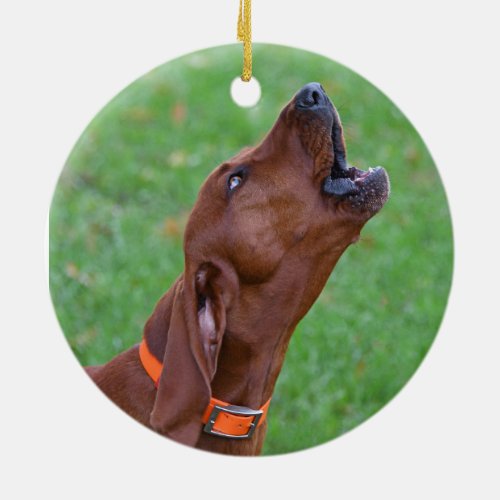 Redbone Coonhound Ceramic Ornament