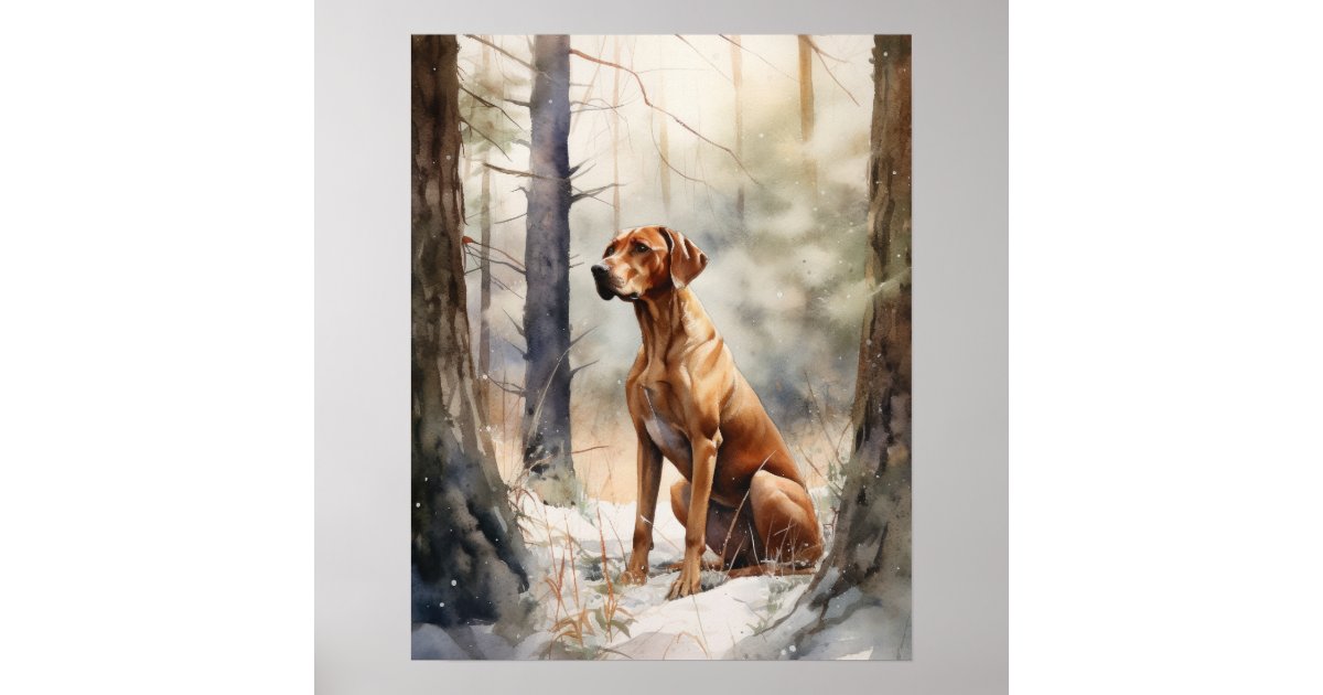 Redbone Coonhound Dog Art Print Poster | Zazzle