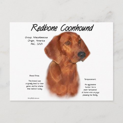 Redbone Coonhound History Design Postcard