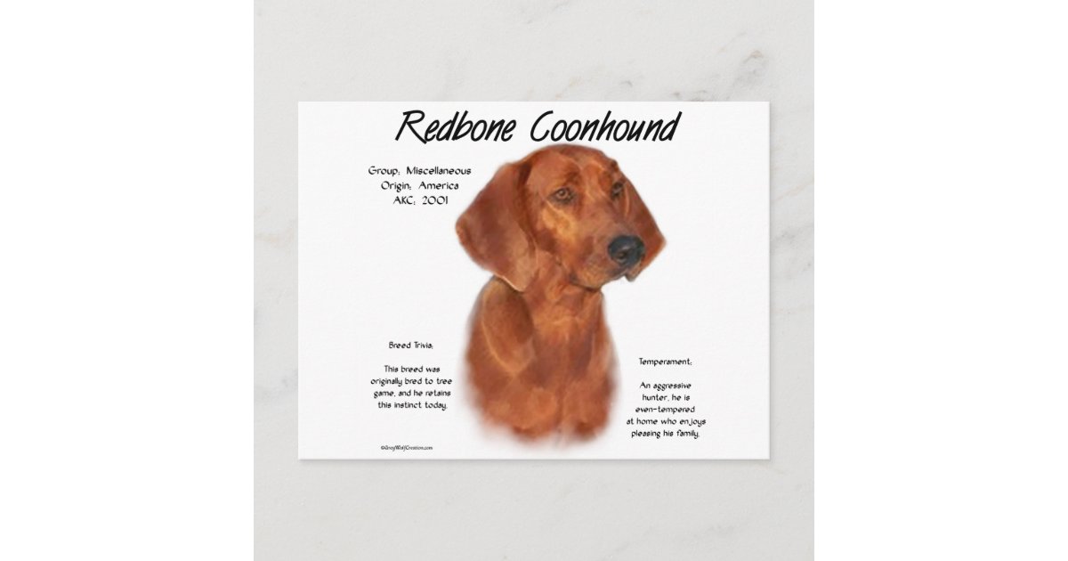 are redbone coonhound aggressive