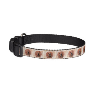 Redbone Coonhound Painting - Cute Original Dog Art Pet Collar