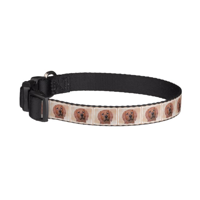 Redbone Coonhound Painting - Cute Original Dog Art Pet Collar (Left)