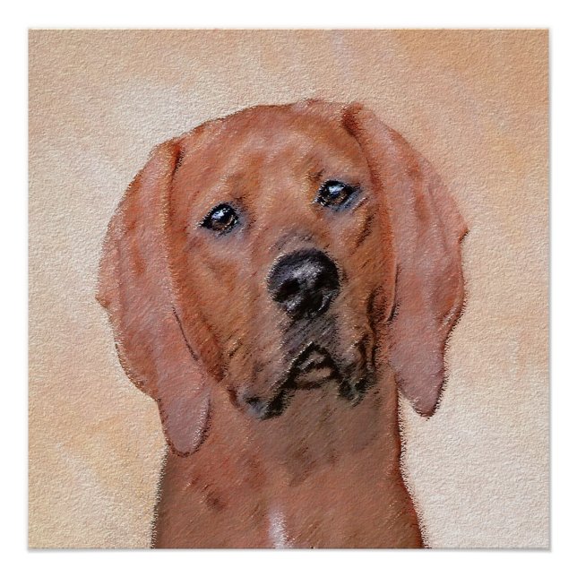 Redbone Coonhound Painting - Cute Original Dog Art Poster (Front)