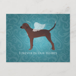 Redbone Coonhound Pet Memorial Angel Dog Postcard