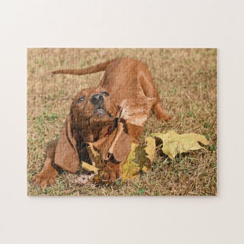 Redbone Coonhound Puppy Playing With Leaves Jigsaw Puzzle