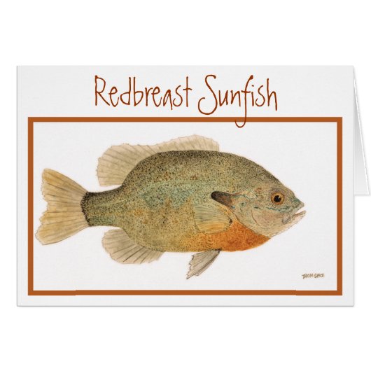 Redbreast Sunfish Card (Front Horizontal)