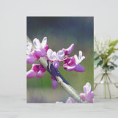 RedBud (Standing Front)
