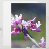 RedBud (Front/Back)