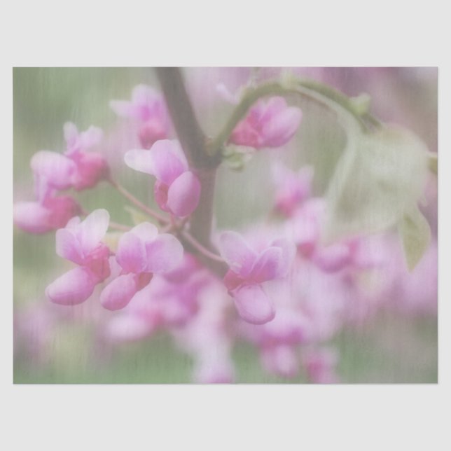 Redbud Blossoms Tissue Paper (Front)