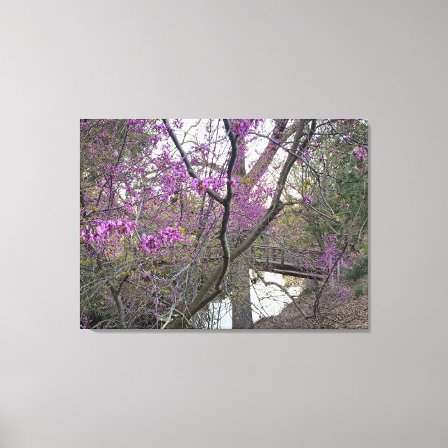 Redbud Bridge Canvas Print (Front)