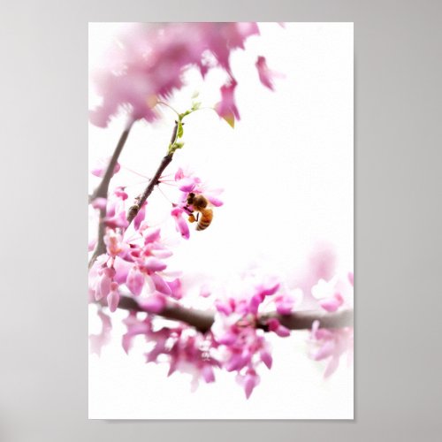 Redbud  honeybee in Springtime Poster